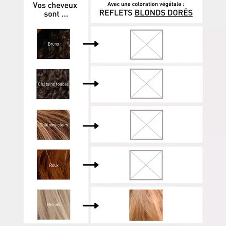 Serge d'Estel Paris Plant-based Hair Dye Golden Blonde