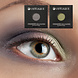 Odylique Green mineral eyeshadow Seaweed Odylique Green mineral eyeshadow Seaweed