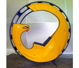 Motorized Single Wheel Vehicle