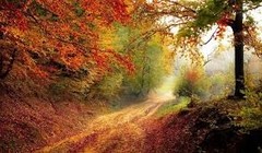 Producten getagd met indian summer