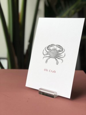 Moes & Griet Désolé carte A5 | oh crabe