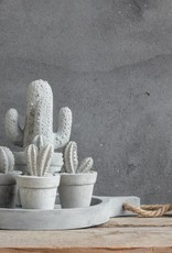 Cactus beton bol klein