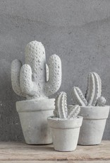 Cactus beton klein