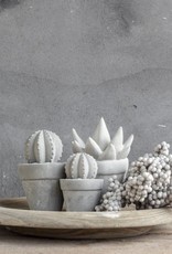 Cactus beton