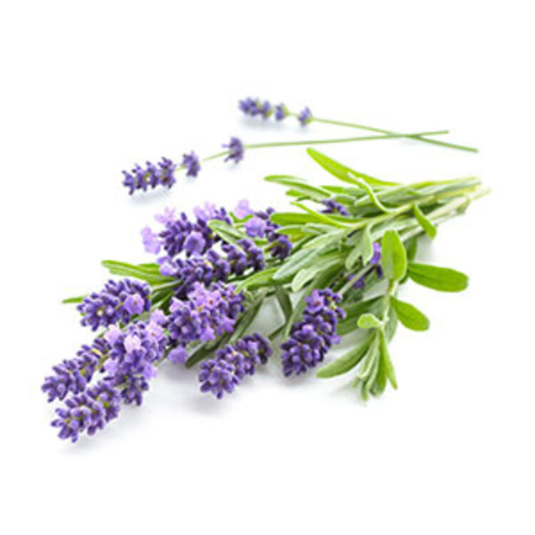 Mega Beauty Shop® Nagelriemolie 5 ml (set 12 stuks)