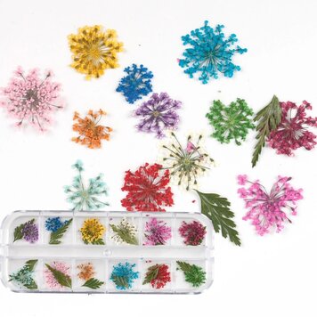 Mega Beauty Shop® Droge Bloemen Nail Art