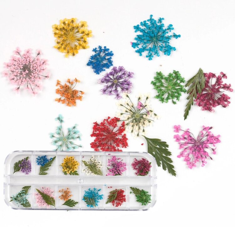 Mega Beauty Shop® Droge Bloemen Nail Art