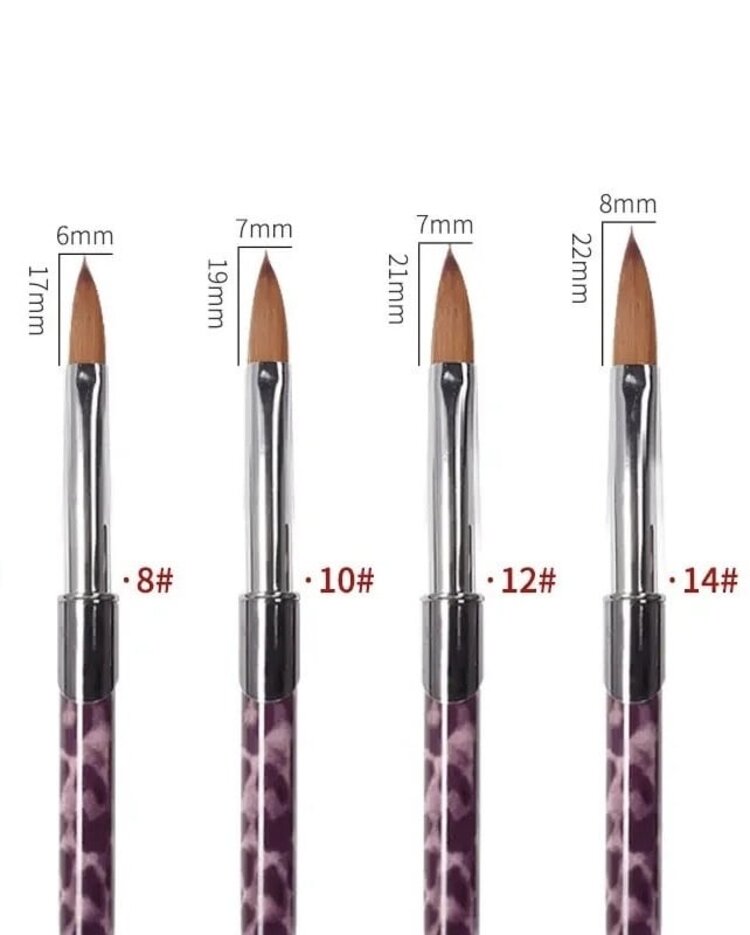 Mega Beauty Shop® Kolinsky acryl penseel #12