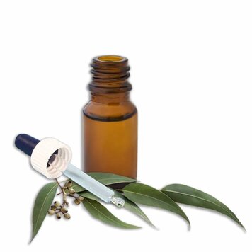 DeOliebaron Etherische olie Eucalyptus 10 ml