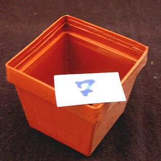 Square pots clay 6x6x5.2 cm