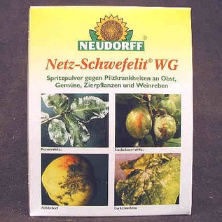 Netz-Schwefelit