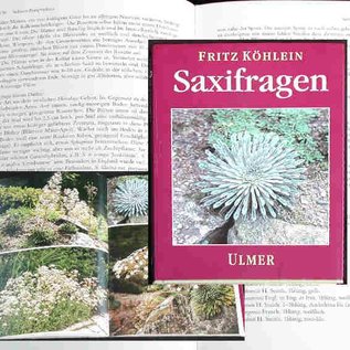 Saxifragen Fritz Köhlein