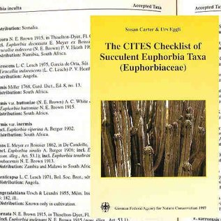 The Cites Checklist of Succulent Euphorbia Taxa S. Carter, U. Eggli