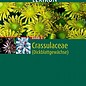 Sukkulentenlexikon Band 4 Crassulaceae Urs Eggli