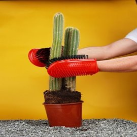 guantes de cactus