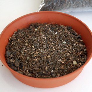 Uhlig mix soil