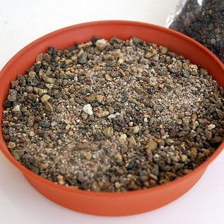 Substrato Lithops