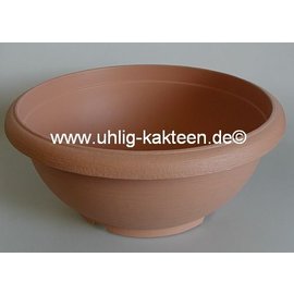 Bowl Terrae 25 cm senza piattino