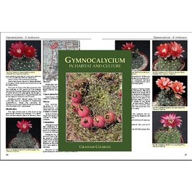 Gymnocalycium in Habitat and Culture Graham Charls