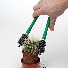 Cactus grapple small