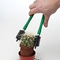 Cactus grapple small