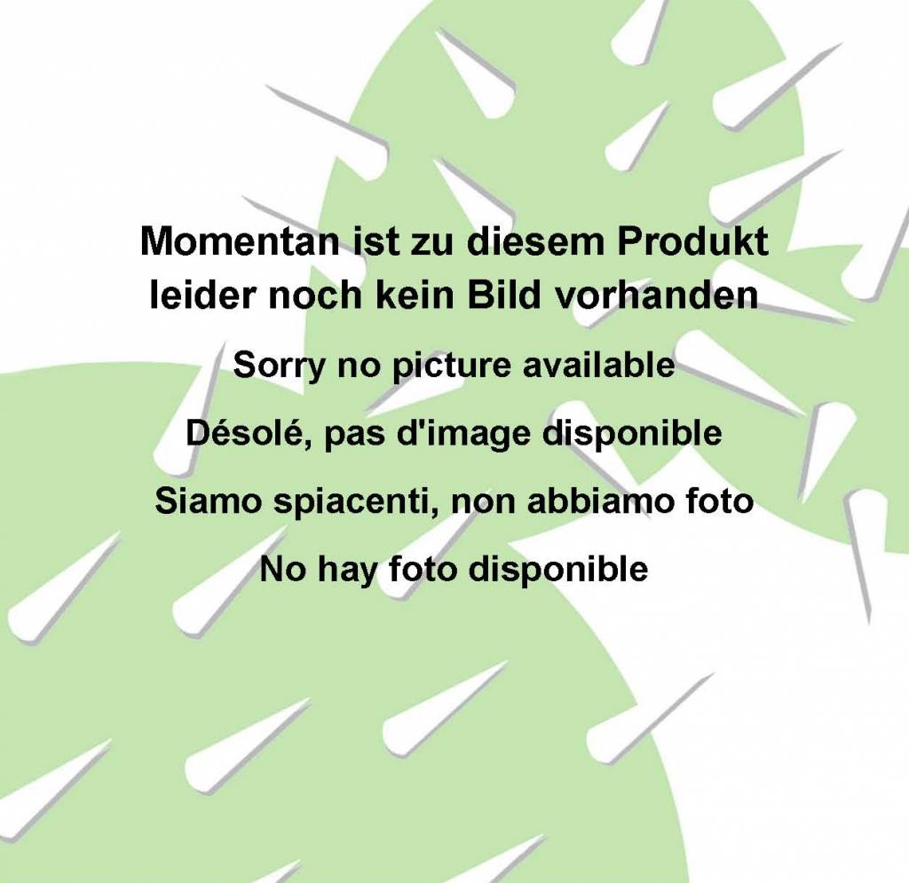 EpiphyllumHybr. Indian Warrior Uhlig Kakteen ??ber 5000