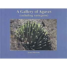 A Gallery of Agaves (including variegates) John Pilbeam