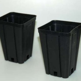 Square container pots high 9x9x13 cm