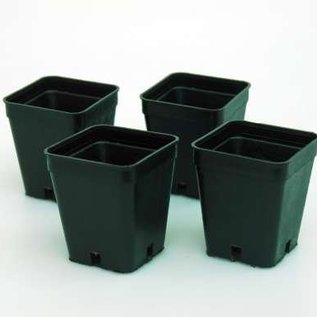 Pots conteneurs carrés 5x5x6 cm