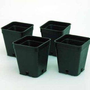 Square container pots 5x5x6 cm