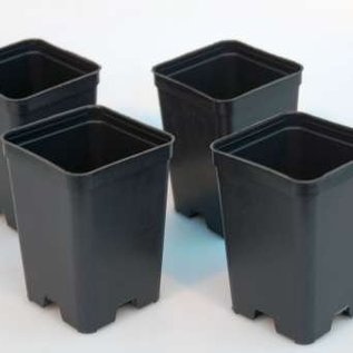 Pots conteneurs carrés haut 7x7x10 cm