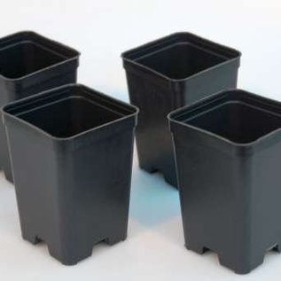 Square container pots high 7x7x10 cm