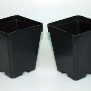 Square container pots 10x10x12 cm