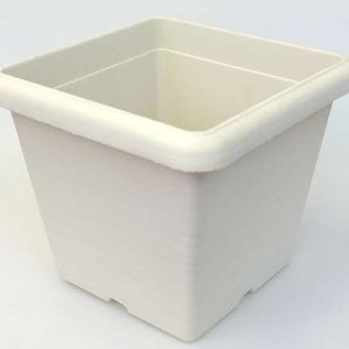Large square containerpot Terrae Quadro 25 cm white