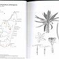 Pachypodium en Madagascar Walter Röösli