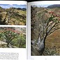 Pachypodium à Madagascar Walter Röösli