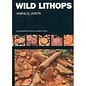 Wild Lithops, Harald Jainta