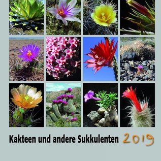 Cactus y Suculentas 2019 Calendario