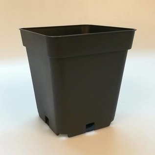 Square container pots 10x10x11 cm