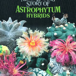 Astrophytum Hybrids