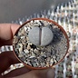 Lithops amicorum  C 410 75 km SE Aus, Namibia