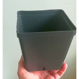 Square container pots 14x14x14 cm B