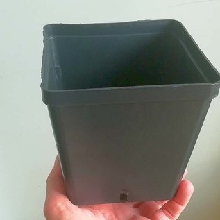 Square container pots 14x14x14 cm - B