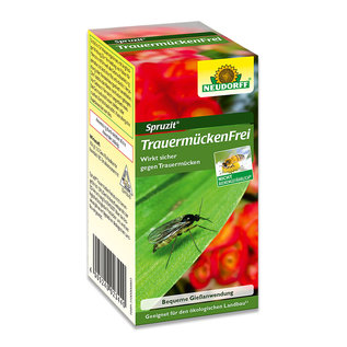 Spruzit® fungus gnats free