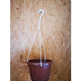 hanging baskets 20 cm