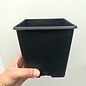 Square container pots 14x14x16 cm -
