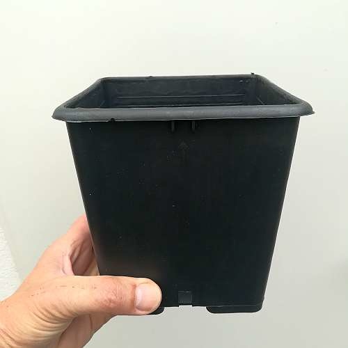Vasi quadrati colore nero 7x7x8 cm (n.10 pezzi), ditta Arca