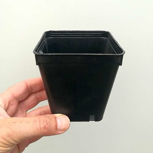 Atyhao 20 Vasetti In Plastica Per Pi Grasse E Succulente - Moderni E Minimi, 8x7 Cm, Vari Colori - 2