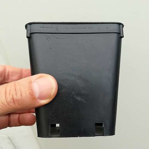 50 Vasi Quadrati In Plastica Neri 9x9x10 Cm – Usati Ma In Ottimo Stato
