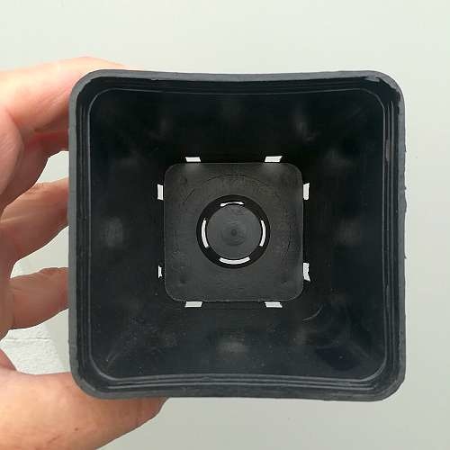 50 Vasi Quadrati In Plastica Neri 9x9x10 Cm – Usati Ma In Ottimo Stato - Foto 3